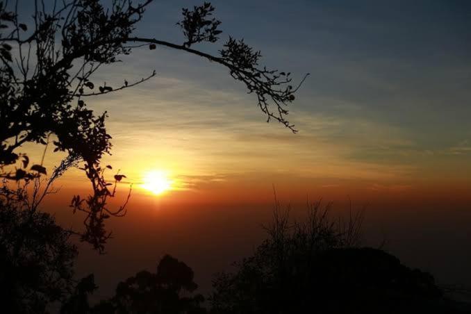 Praveen'S Wood House Kodaikanal Vattakanal Экстерьер фото