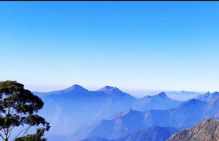 Praveen'S Wood House Kodaikanal Vattakanal Экстерьер фото